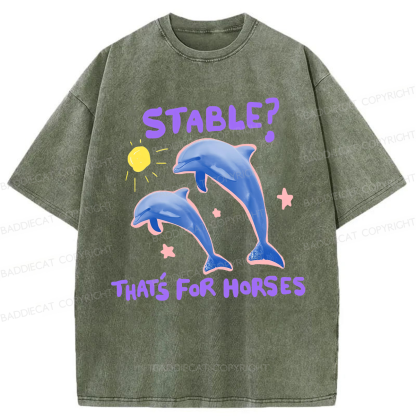 Baddiecat Funny Dolphin Washed T-shirt