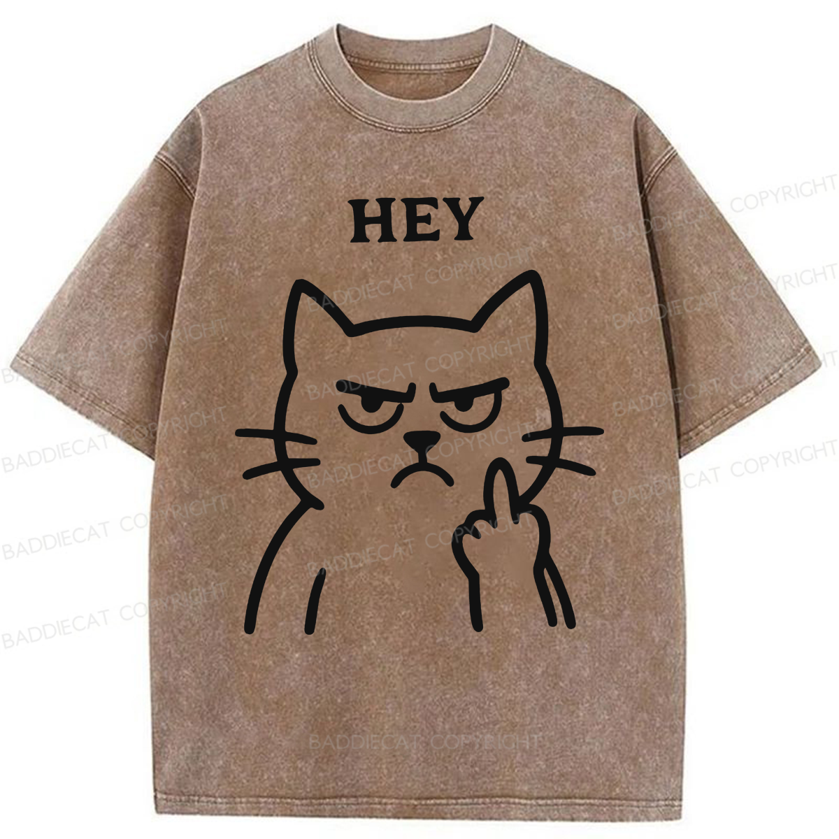 Baddiecat Hey Funny Cat Washed T-shirt