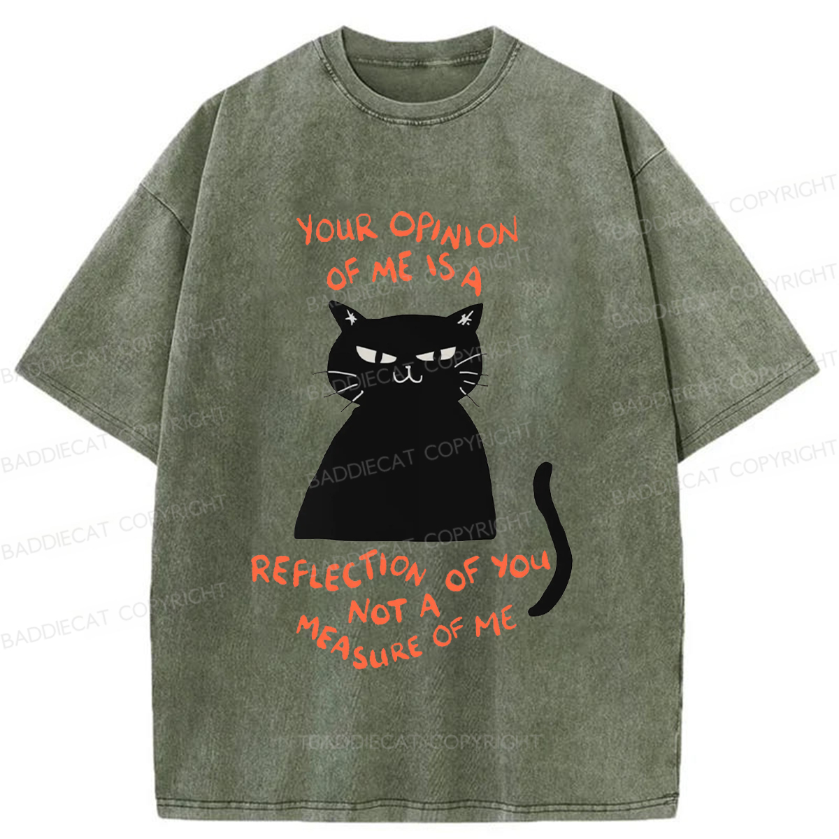 Baddiecat Examining Black Cat Washed T-shirt