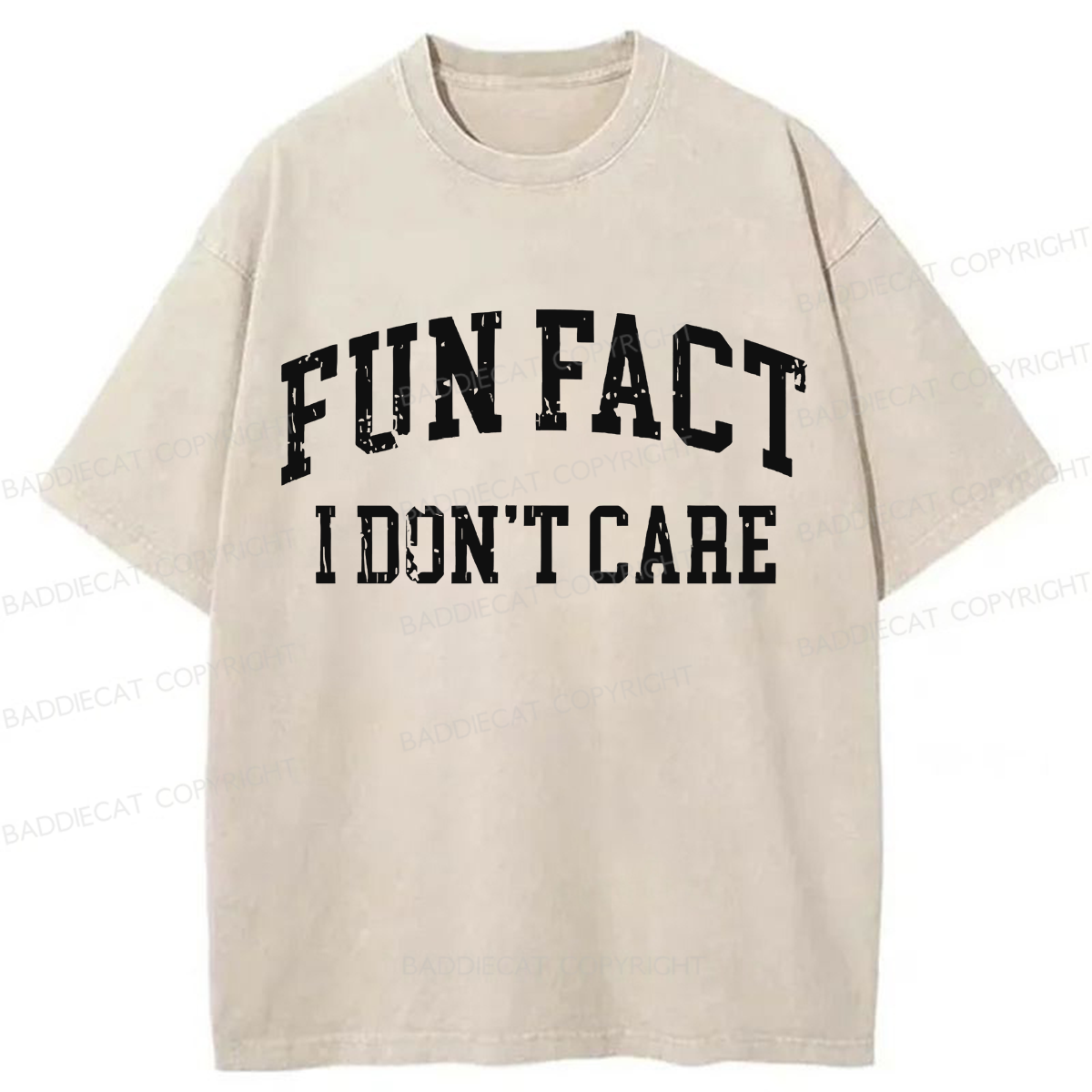 Baddiecat Fun Fact I Don't Care Washed T-shirt