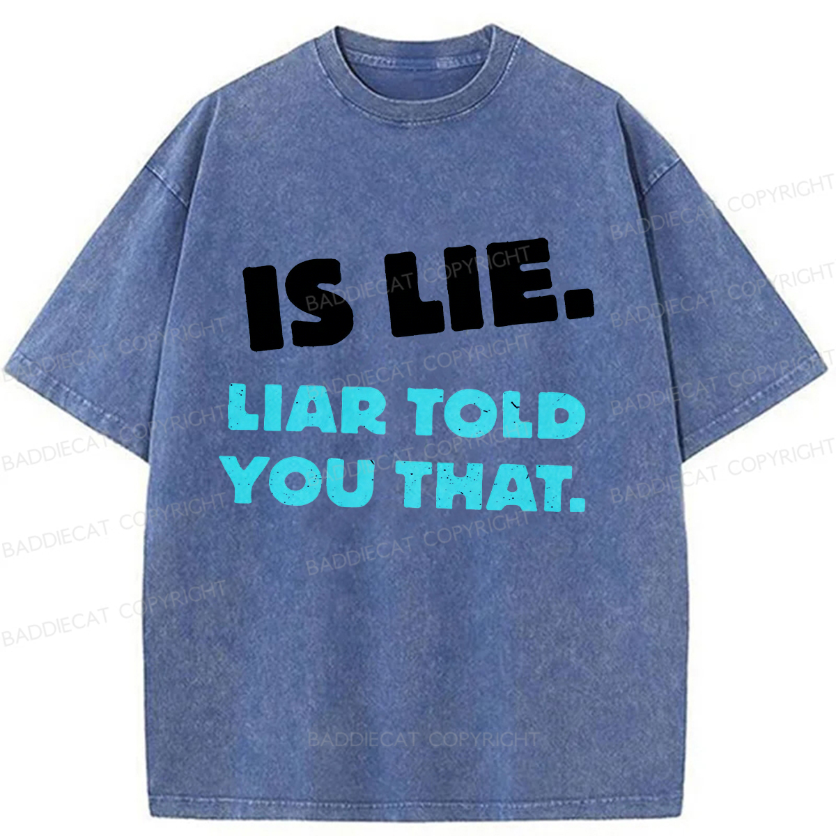 Baddiecat Is Lie Liar Told You That Washed T-shirt