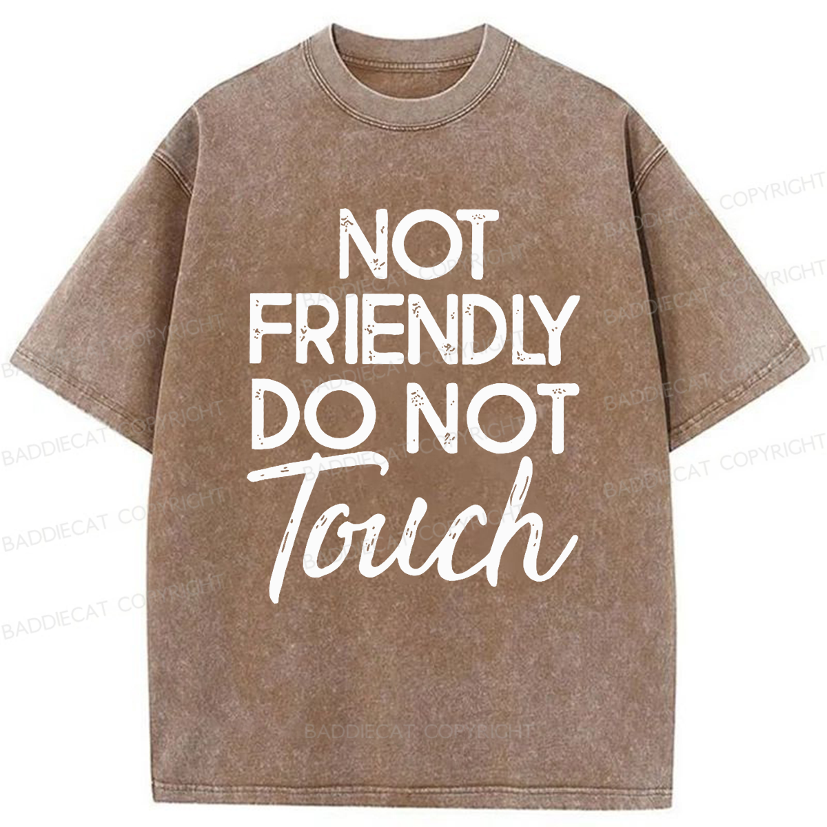 Baddiecat Not Friendly Do Not Touch Washed T-shirt