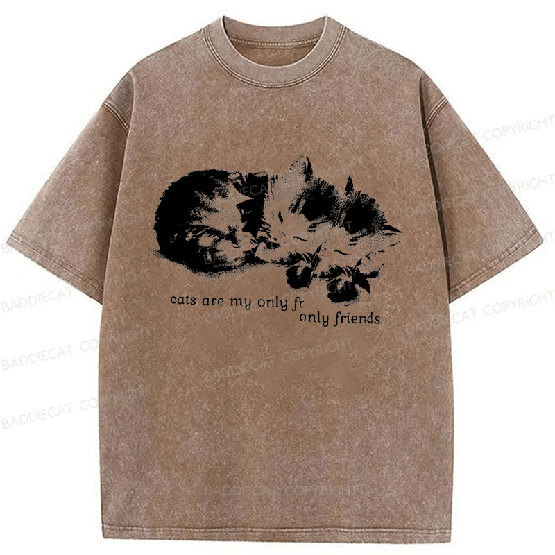 Baddiecat Cats Are My Only Friends Washed T-Shirt