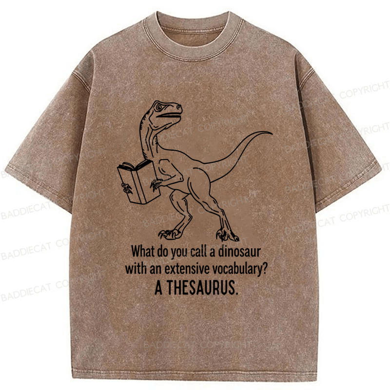 Baddiecat A Thesaurus Washed T-shirt