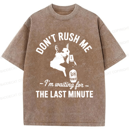 Baddiecat Cat Don't Rush Me Washed T-shirt