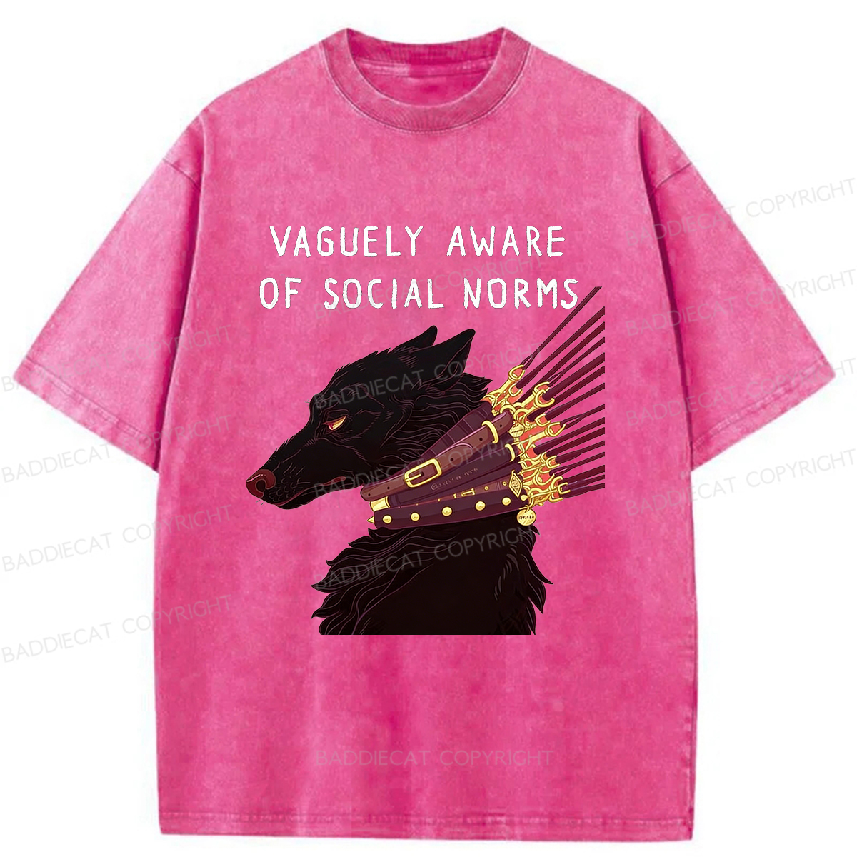 Baddiecat Vaguely Aware Of Social Norms Washed T-shirt