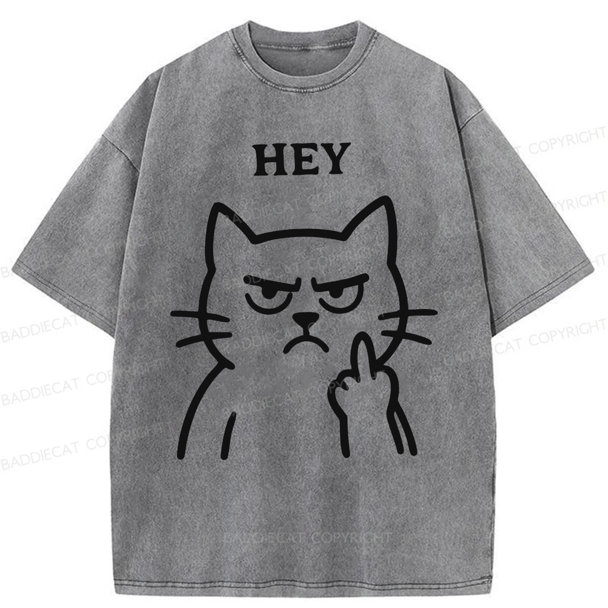 Baddiecat Hey Funny Cat Washed T-shirt