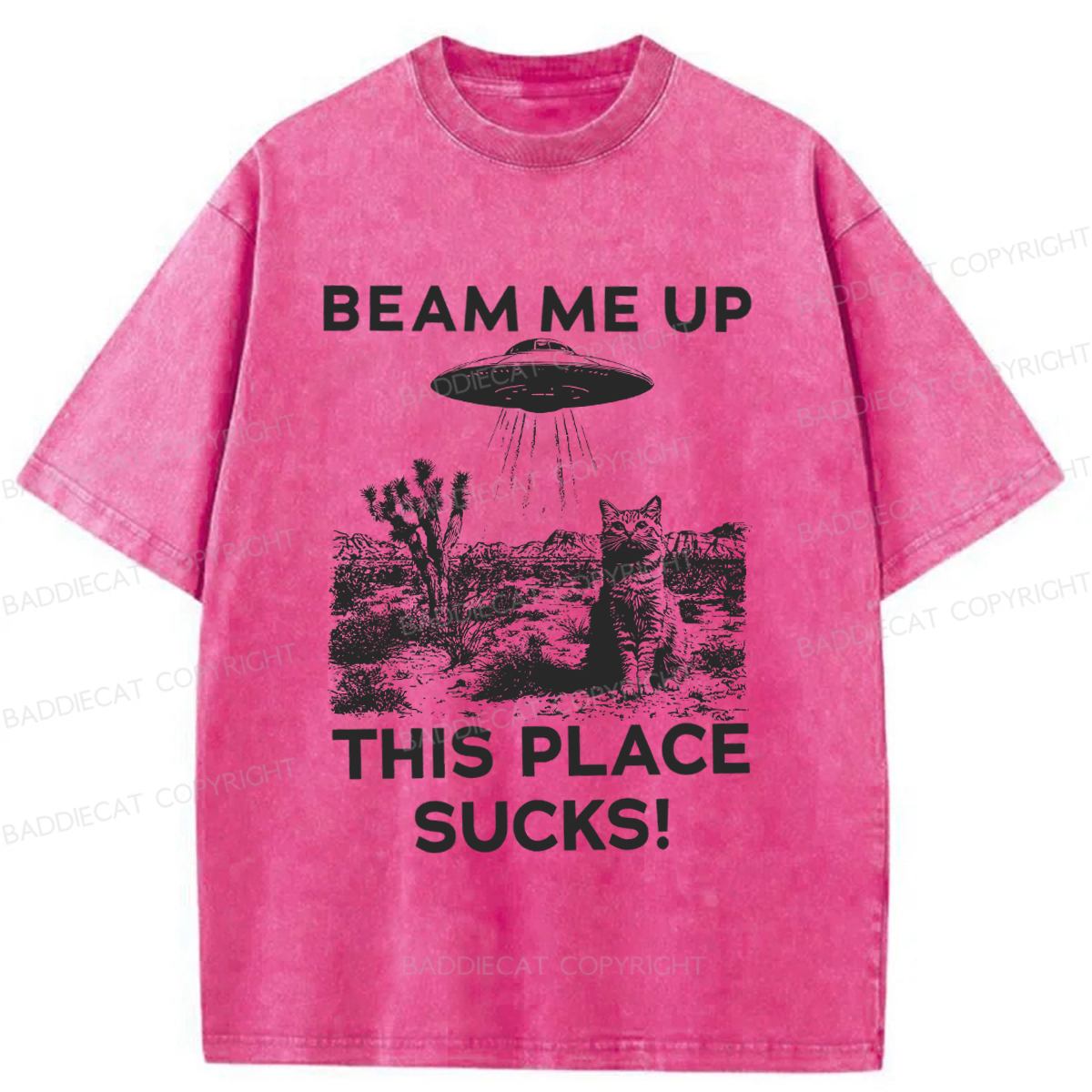 Baddiecat Cats That Escaped From Earth Washed T-shirt