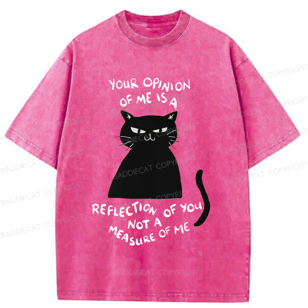 Baddiecat Examining Black Cat Washed T-shirt