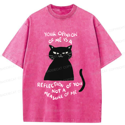 Baddiecat Examining Black Cat Washed T-shirt