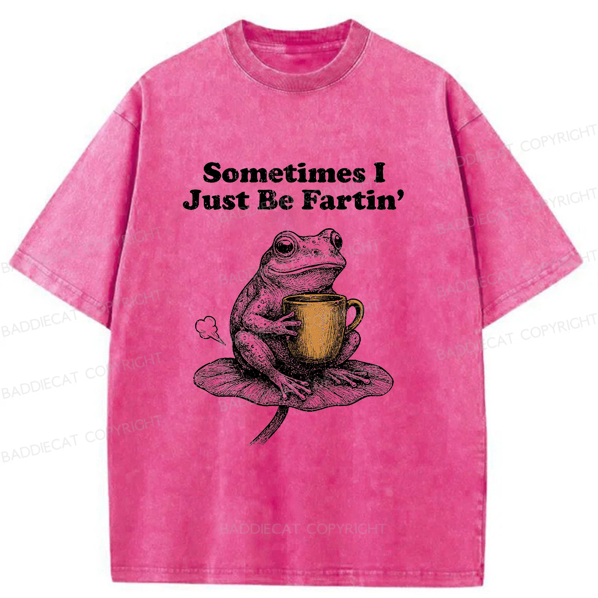 Baddiecat Farting Frog Washed T-shirt