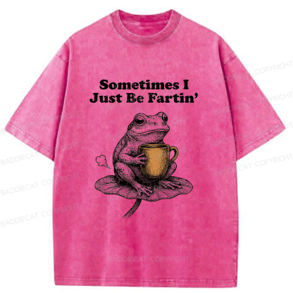 Baddiecat Farting Frog Washed T-shirt