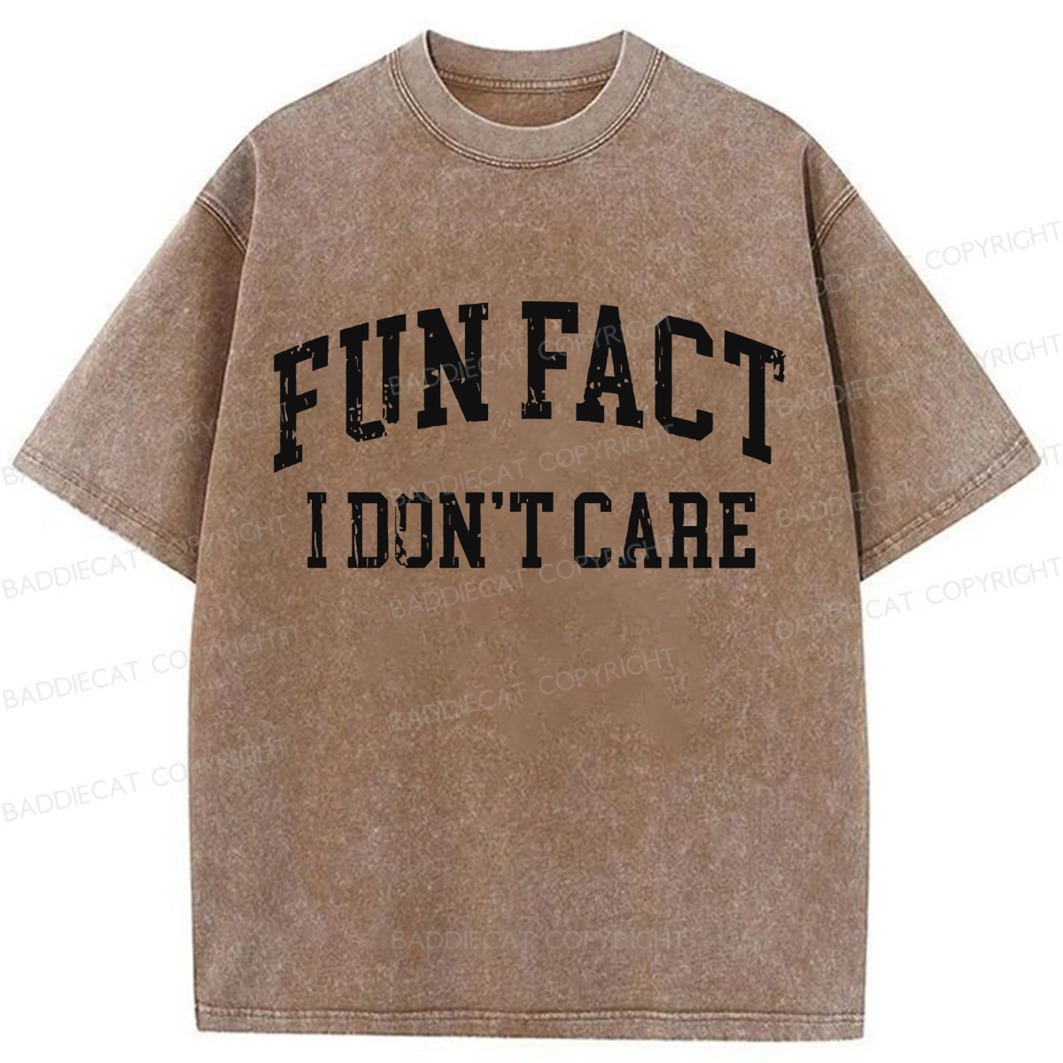 Baddiecat Fun Fact I Don't Care Washed T-shirt