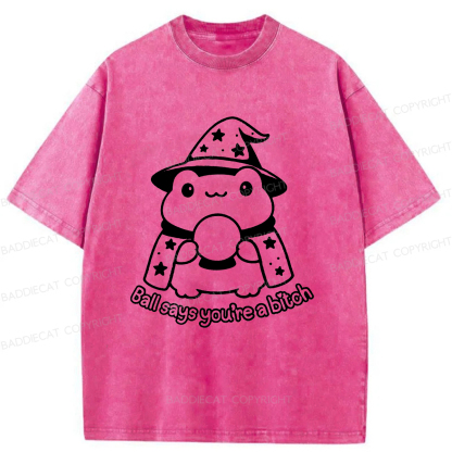 Baddiecat Naive Frog Washed T-shirt