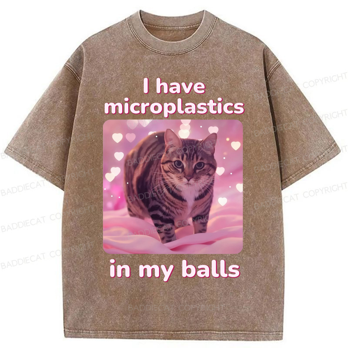 Baddiecat I have Microplastics In My Balls Washed T-shirt