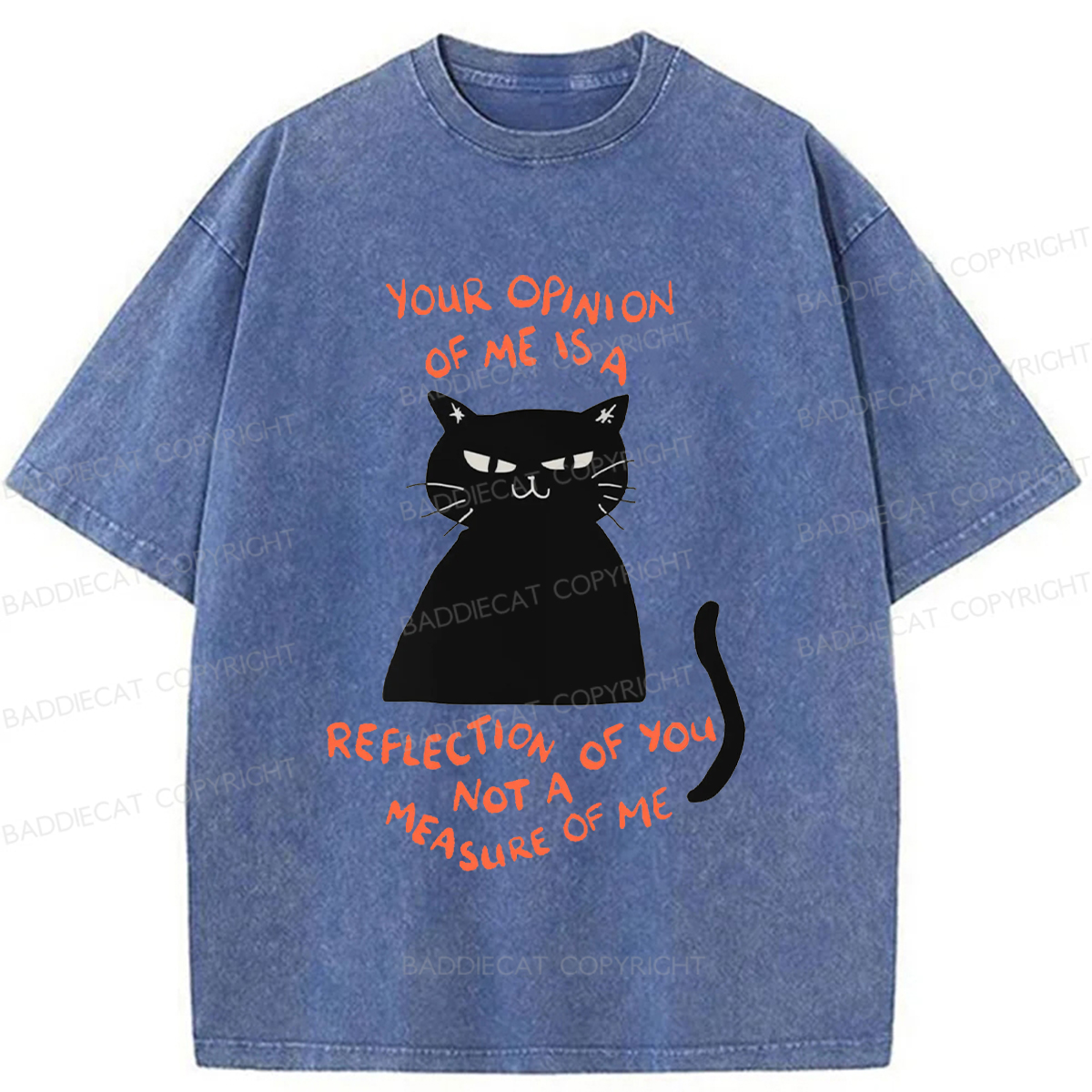 Baddiecat Examining Black Cat Washed T-shirt