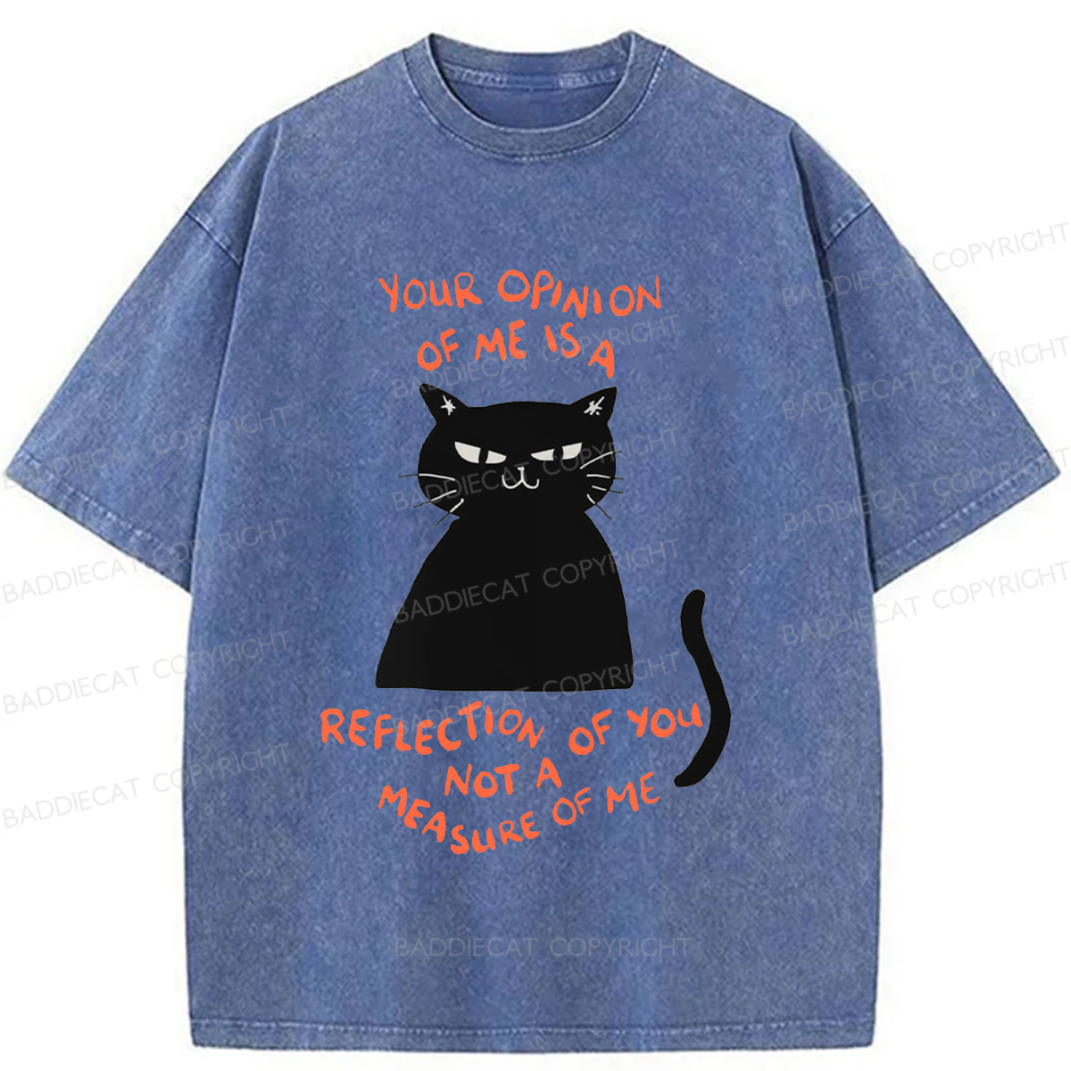 Baddiecat Examining Black Cat Washed T-shirt