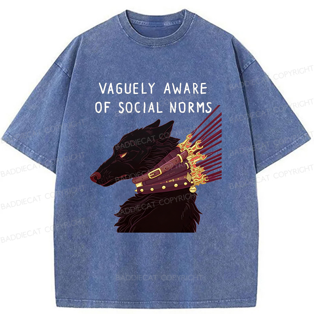 Baddiecat Vaguely Aware Of Social Norms Washed T-shirt