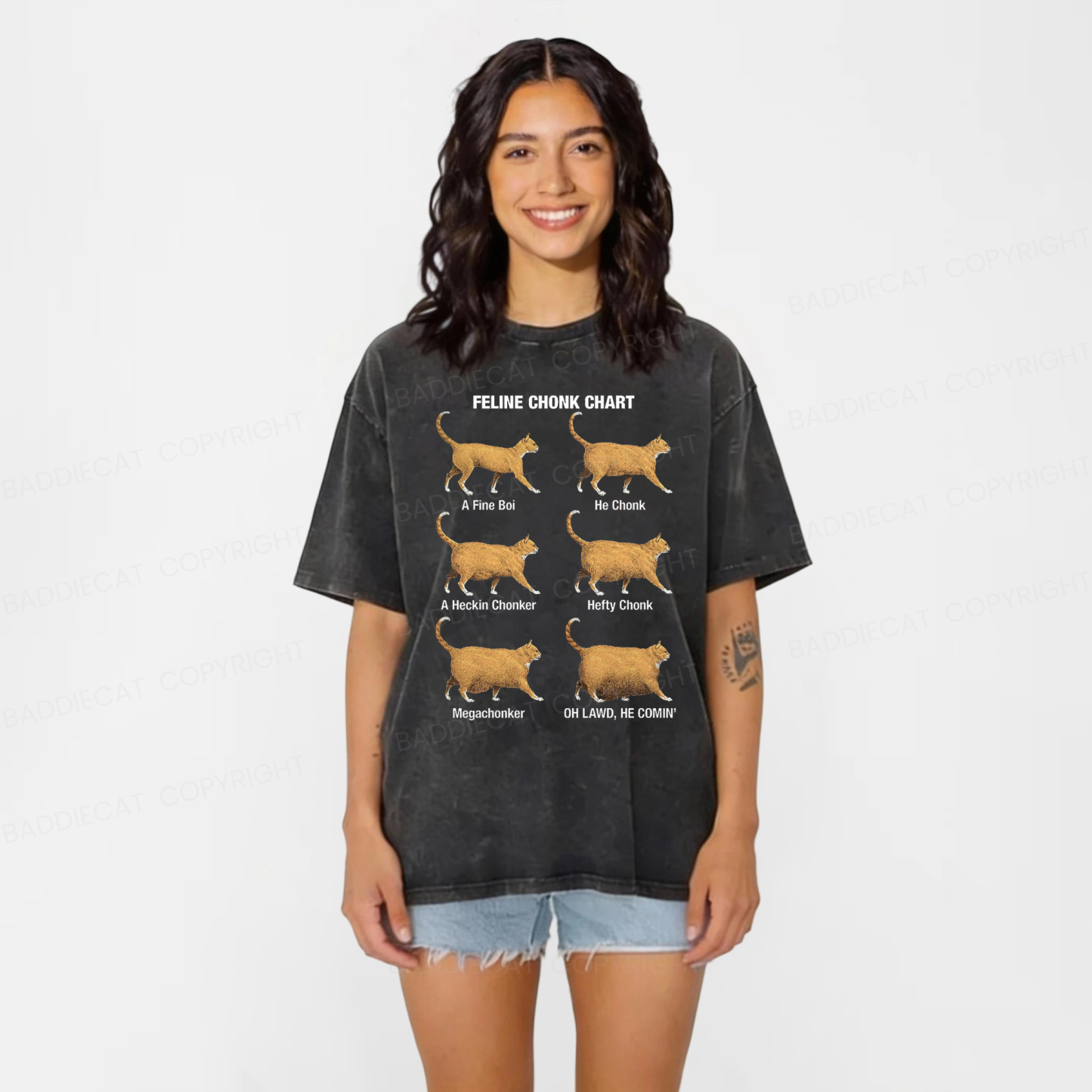 Baddiecat Chonky Cat Evolution Washed T-shirt