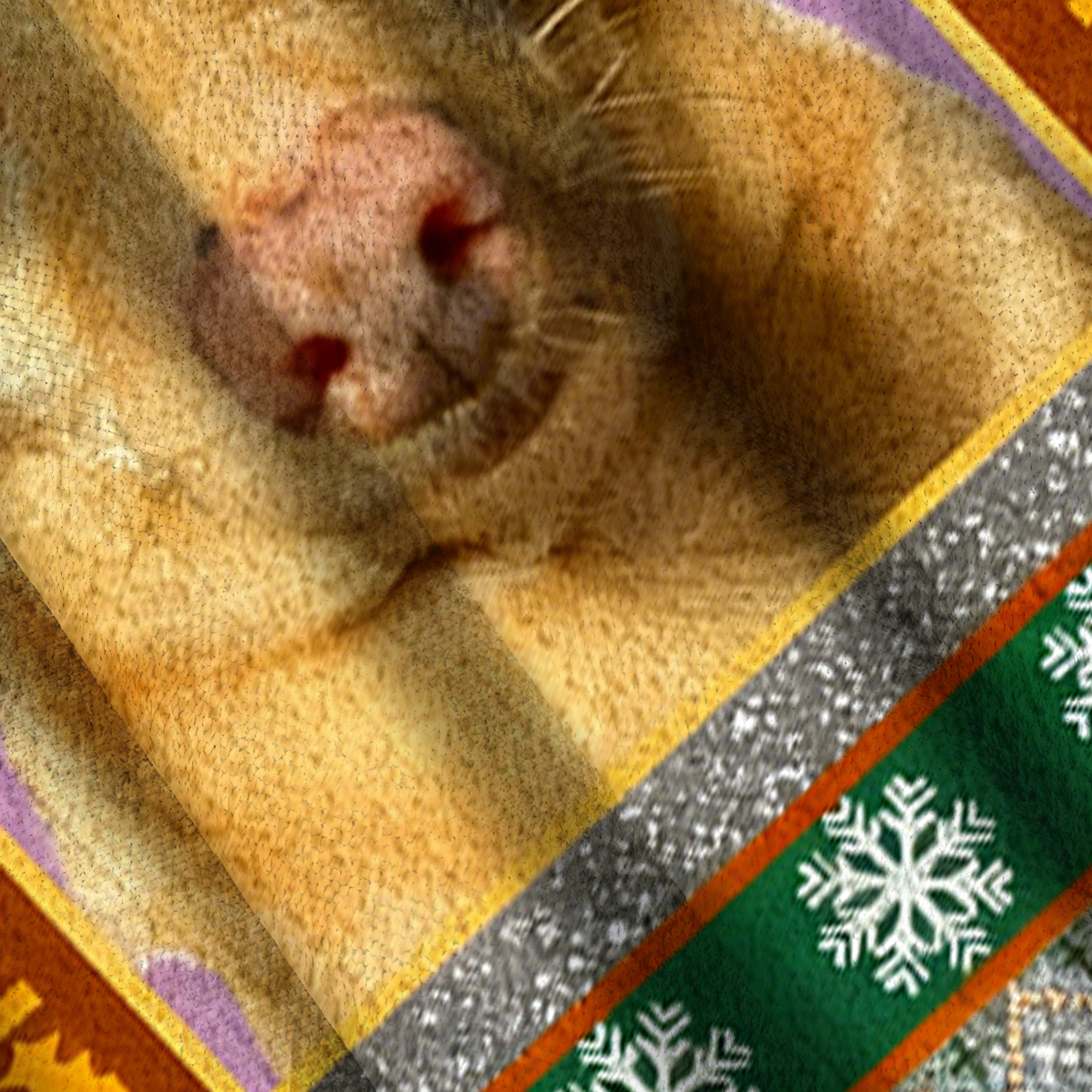 Baddiecat COMMIT CRIMES Christmas Ugly Sweatshirt