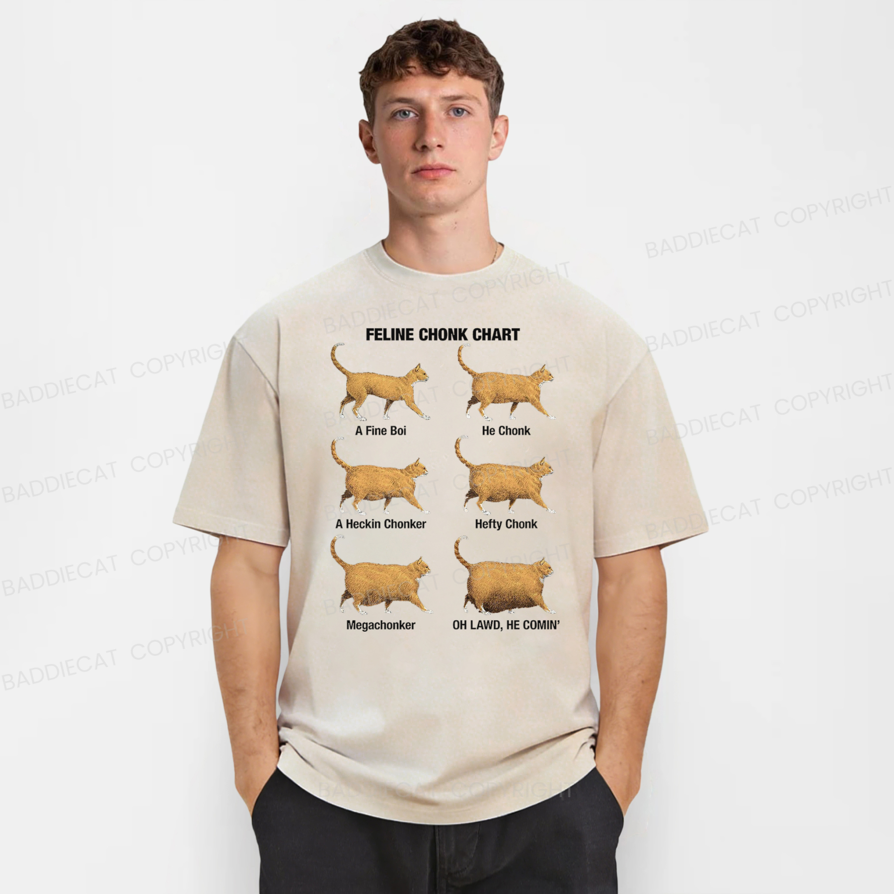Baddiecat Chonky Cat Evolution Washed T-shirt