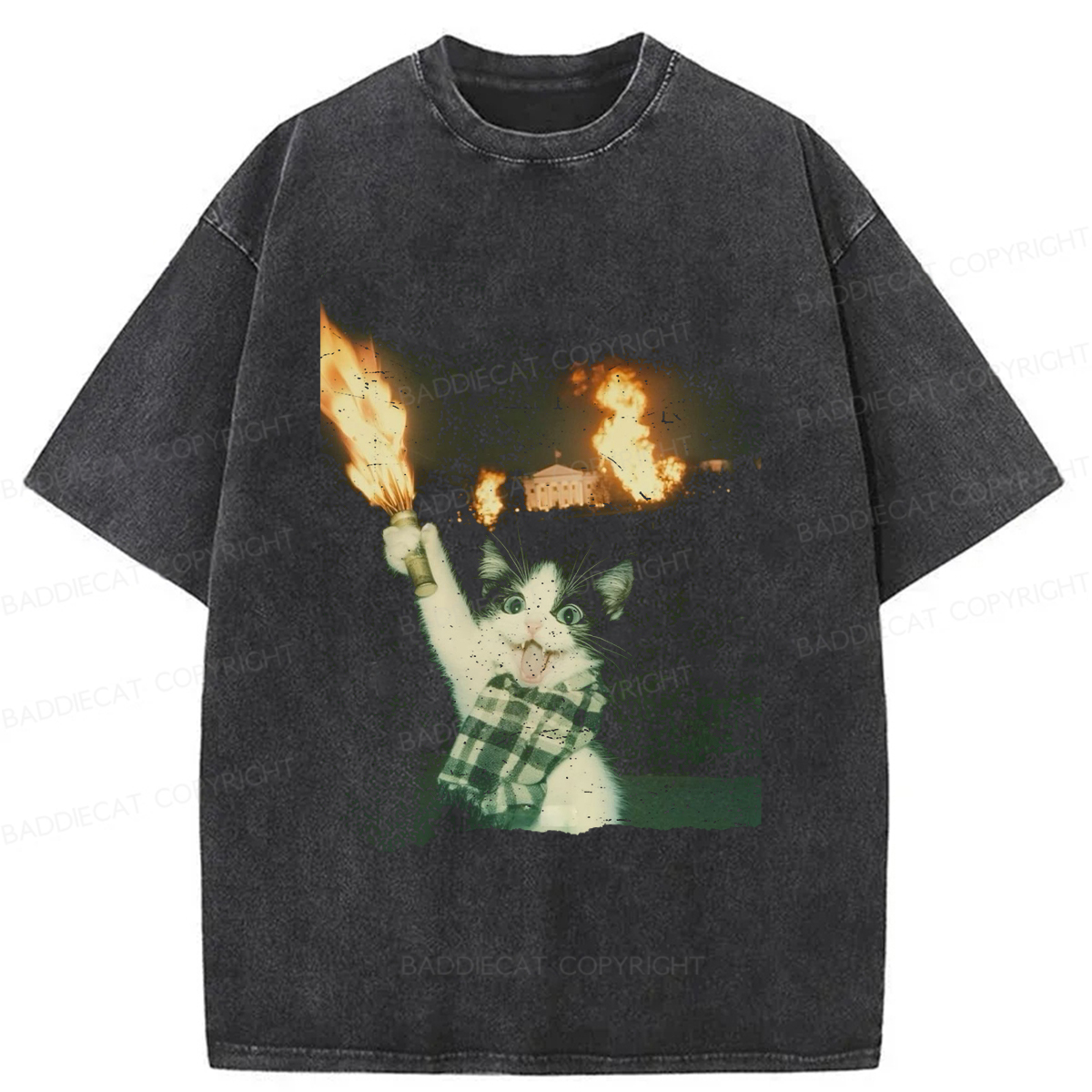 Baddiecat Excited Cat Washed T-shirt