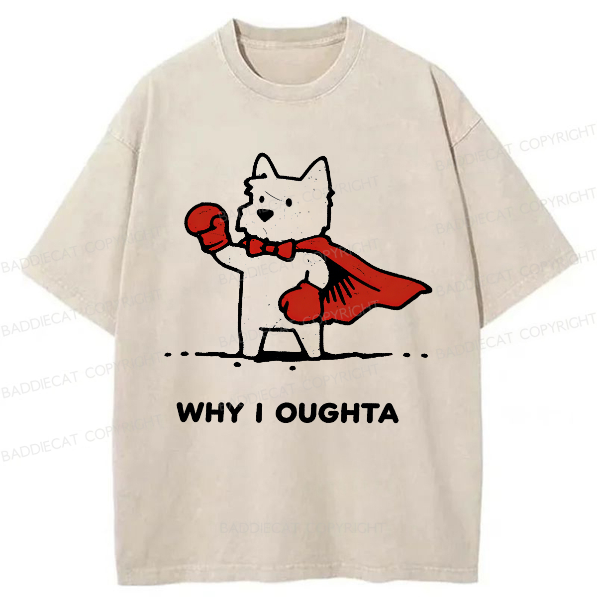 Baddiecat Why Should I Washed T-shirt
