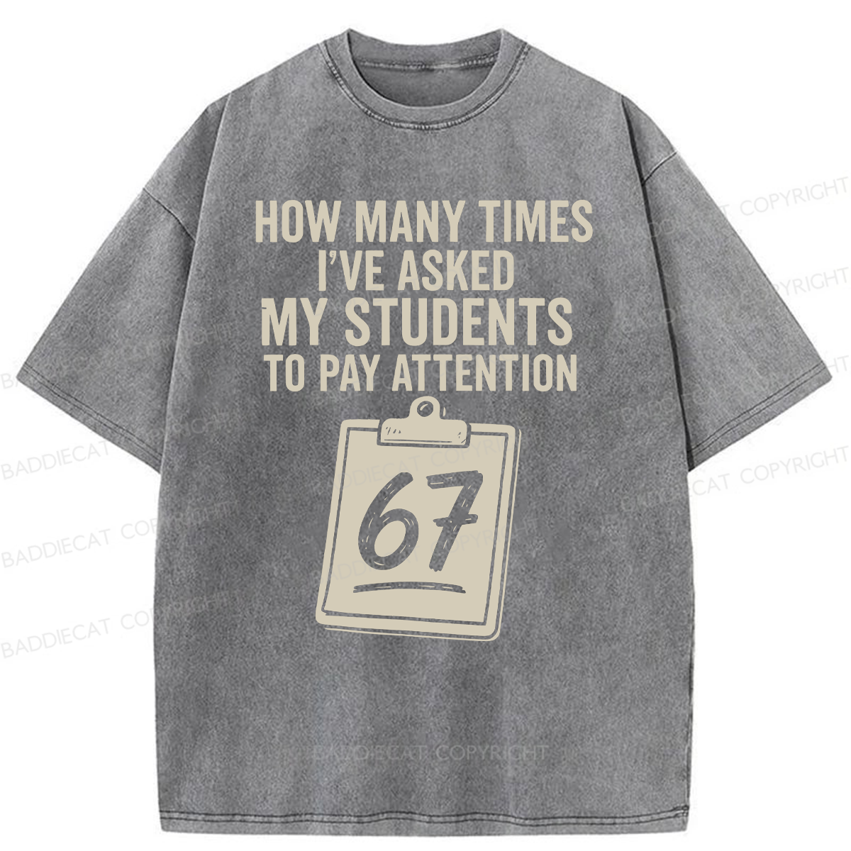 Baddiecat Sixty-Seven Points Teacher Washed T-shirt