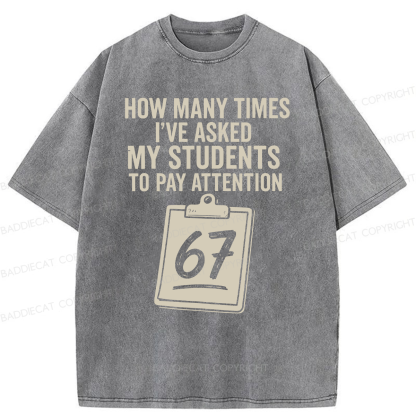 Baddiecat Sixty-Seven Points Teacher Washed T-shirt