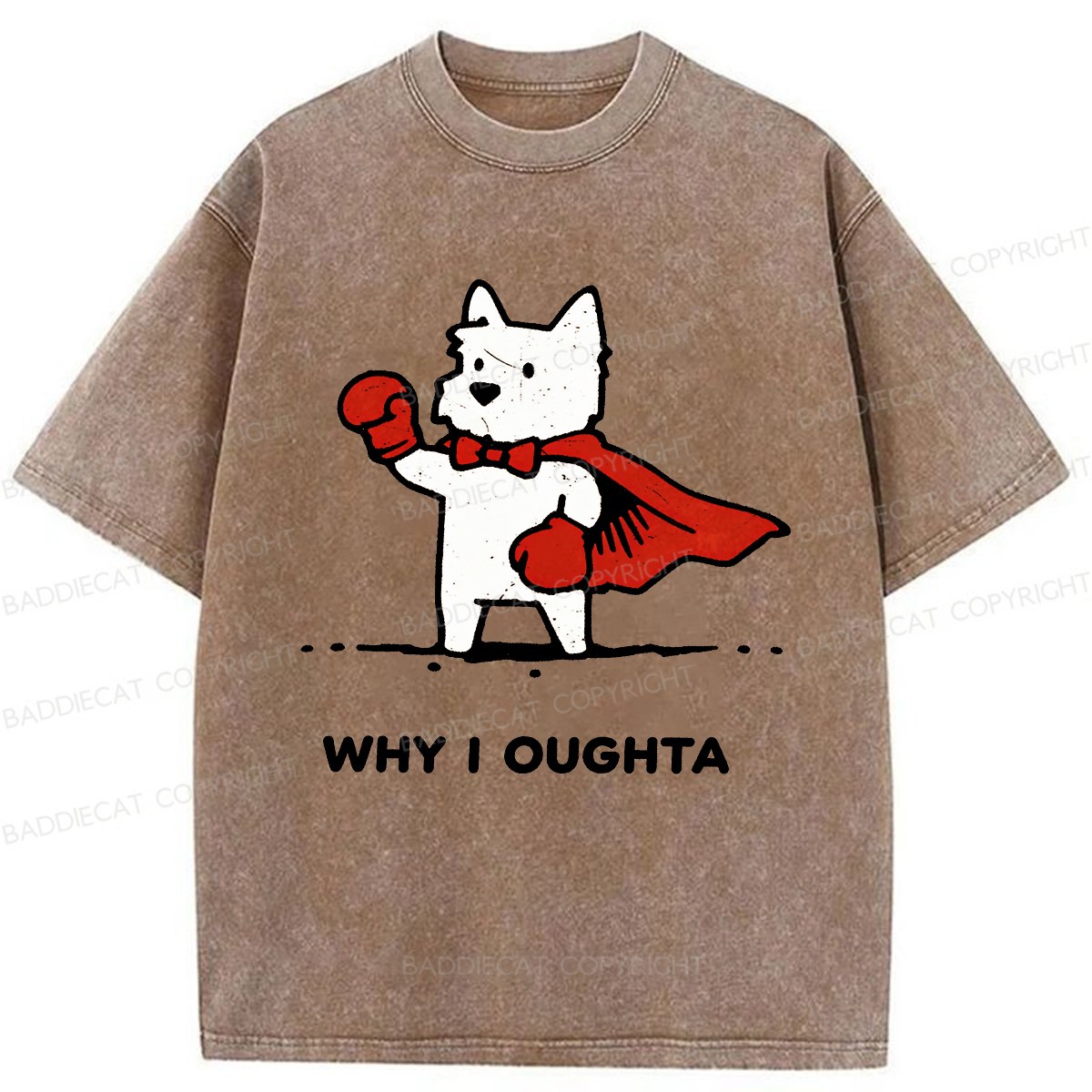 Baddiecat Why Should I Washed T-shirt