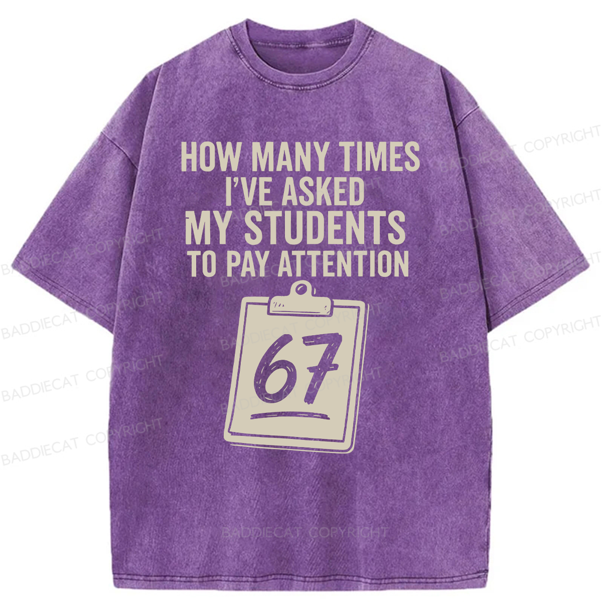 Baddiecat Sixty-Seven Points Teacher Washed T-shirt