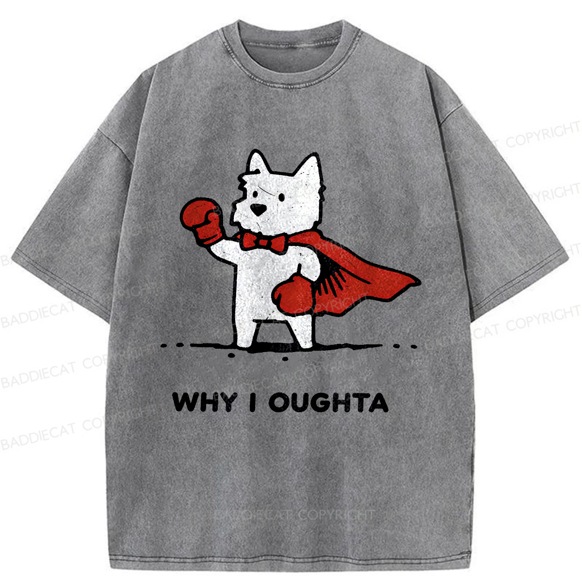 Baddiecat Why Should I Washed T-shirt
