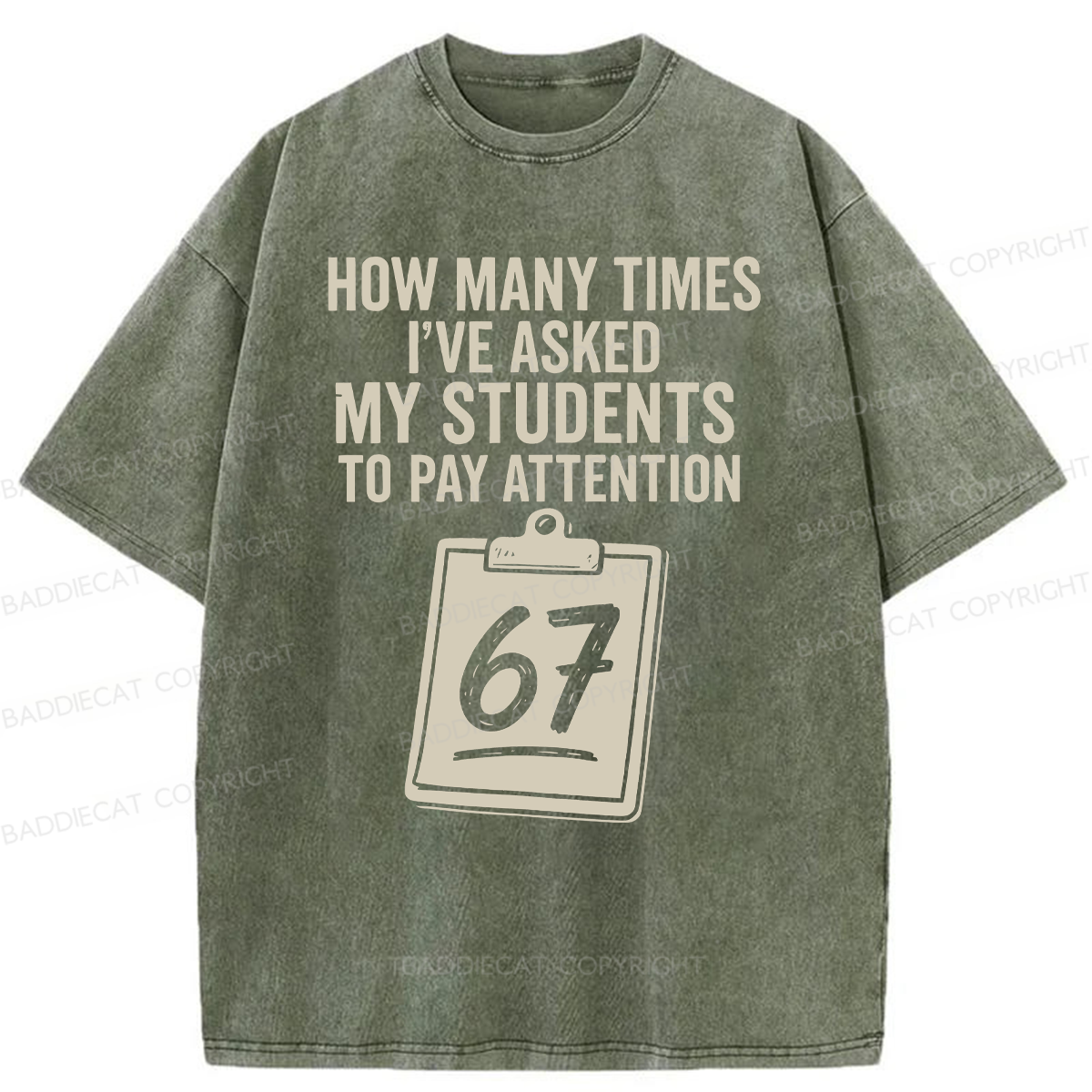 Baddiecat Sixty-Seven Points Teacher Washed T-shirt