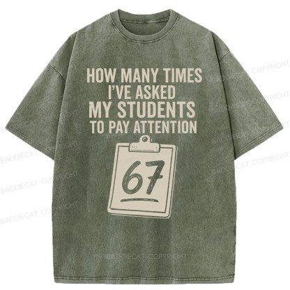 Baddiecat Sixty-Seven Points Teacher Washed T-shirt