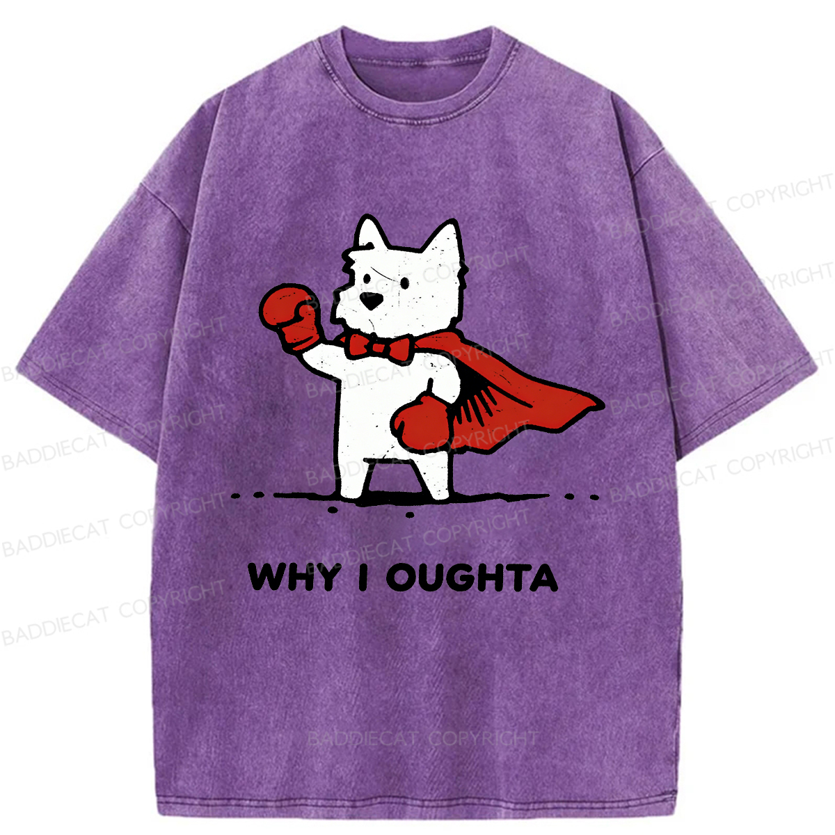 Baddiecat Why Should I Washed T-shirt