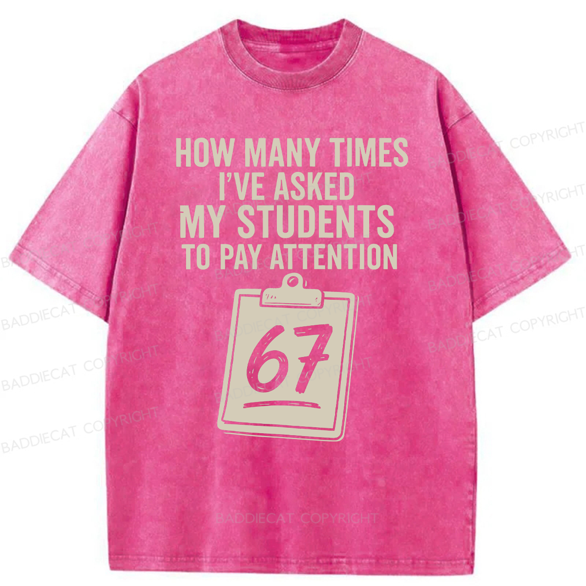 Baddiecat Sixty-Seven Points Teacher Washed T-shirt