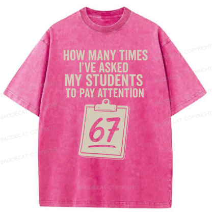 Baddiecat Sixty-Seven Points Teacher Washed T-shirt