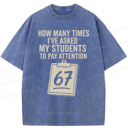 Baddiecat Sixty-Seven Points Teacher Washed T-shirt