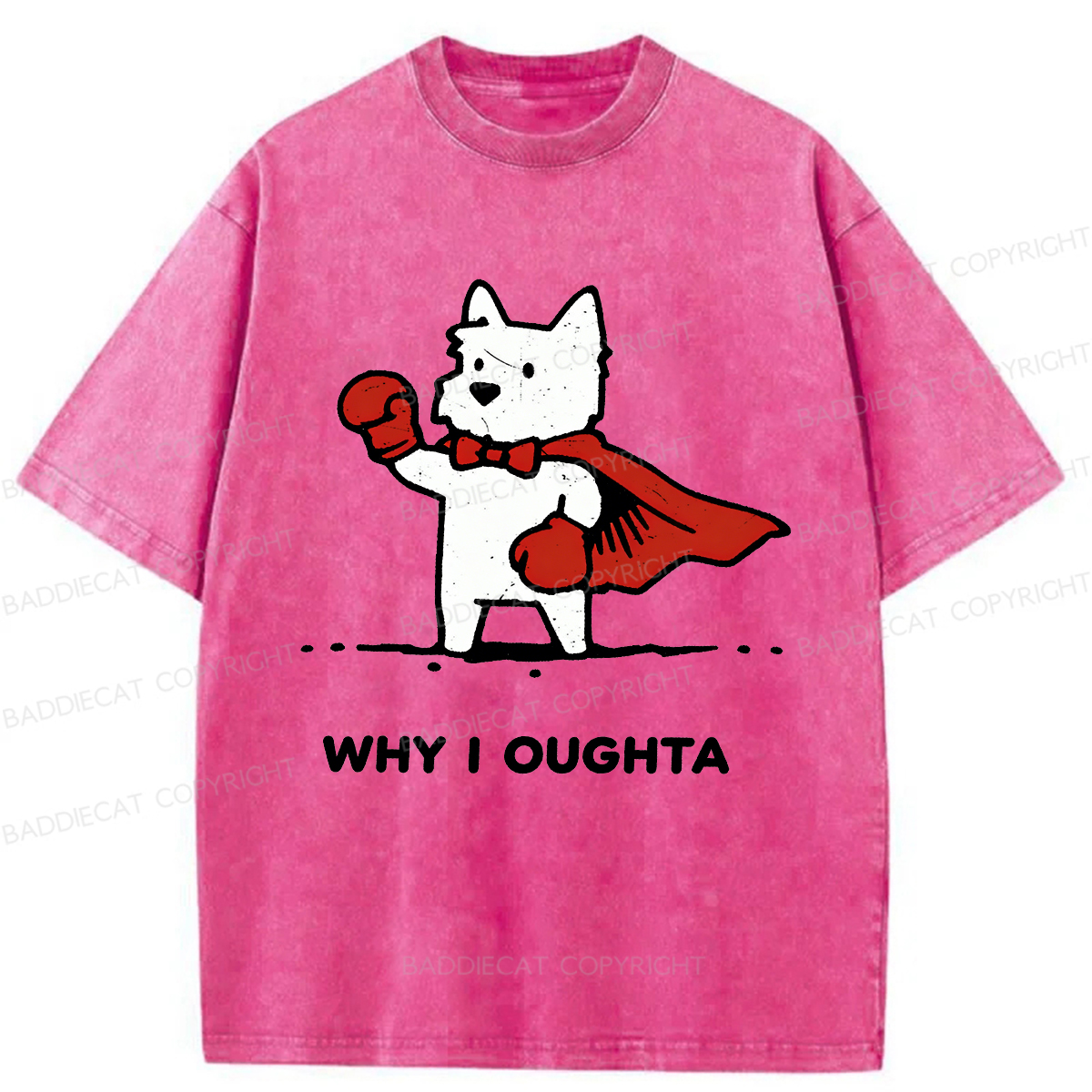 Baddiecat Why Should I Washed T-shirt