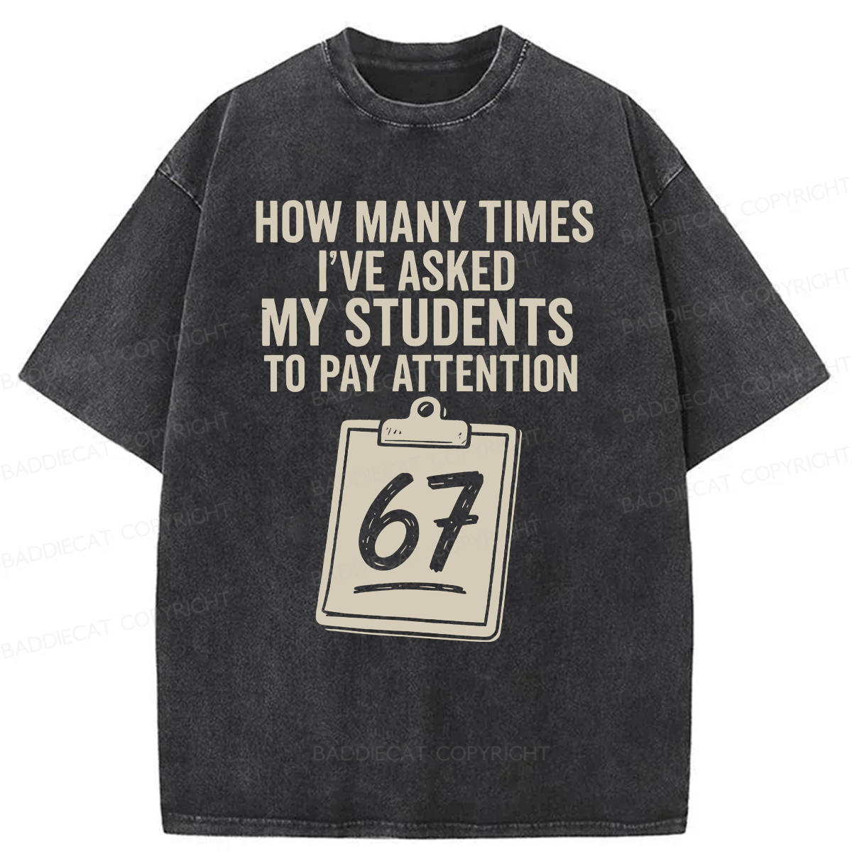 Baddiecat Sixty-Seven Points Teacher Washed T-shirt