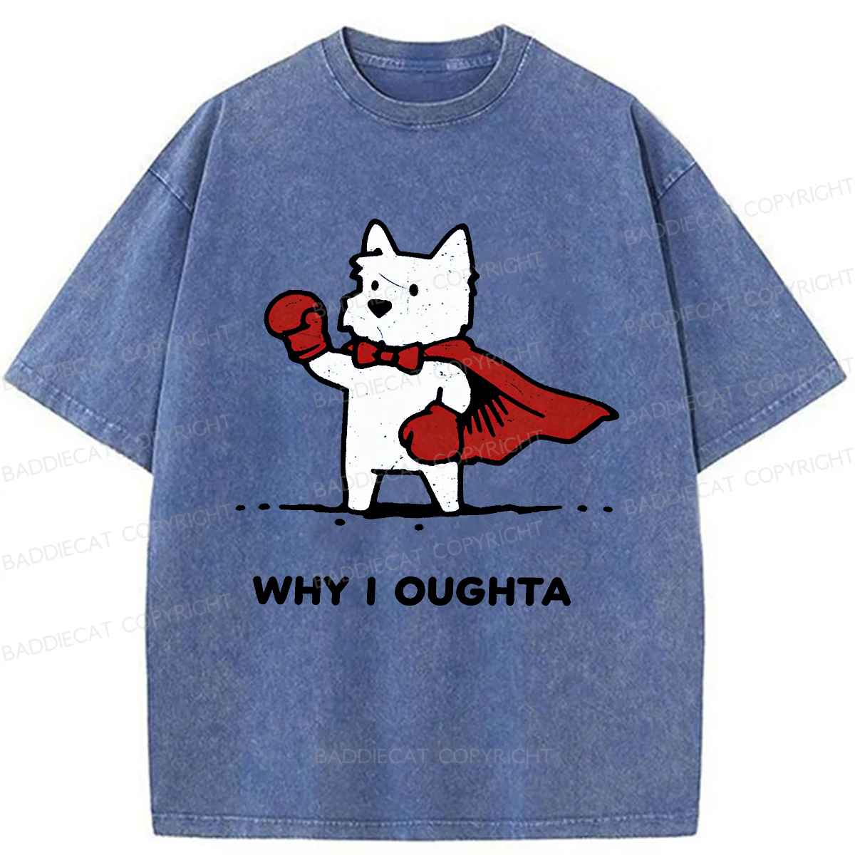 Baddiecat Why Should I Washed T-shirt