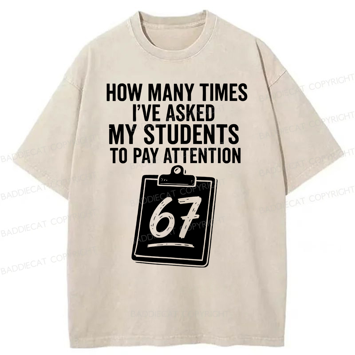 Baddiecat Sixty-Seven Points Teacher Washed T-shirt