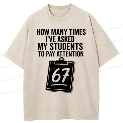 Baddiecat Sixty-Seven Points Teacher Washed T-shirt