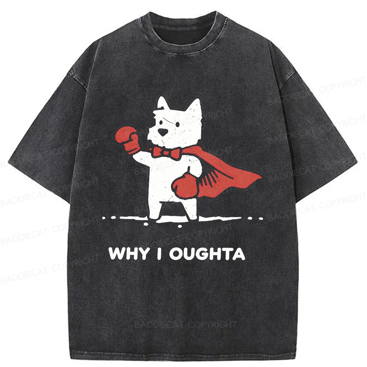 Baddiecat Why Should I Washed T-shirt