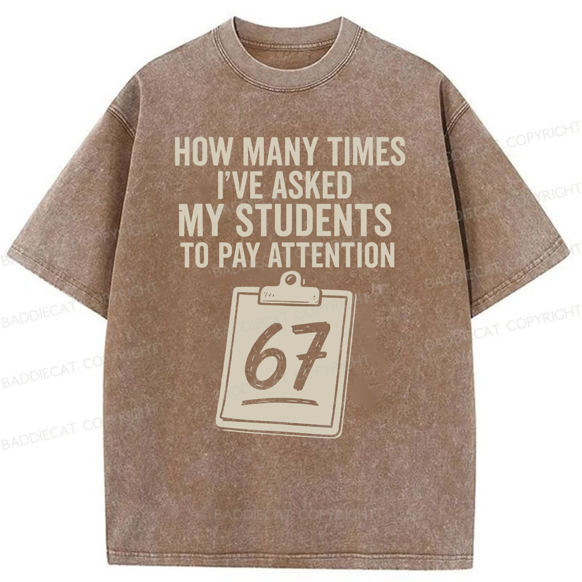 Baddiecat Sixty-Seven Points Teacher Washed T-shirt