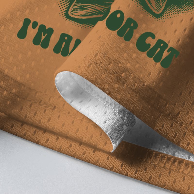 Baddiecat Sorry I Can't Go I'm An Indoor Cat Mesh Jersey