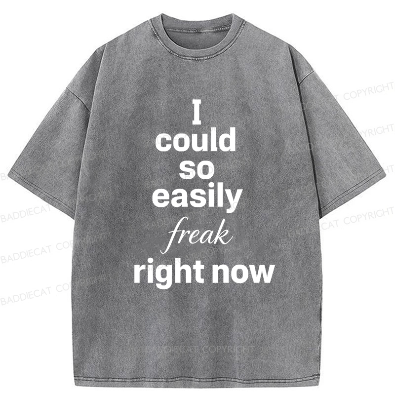 Baddiecat I Could So Easily Freak Right Now Washed T-shirt