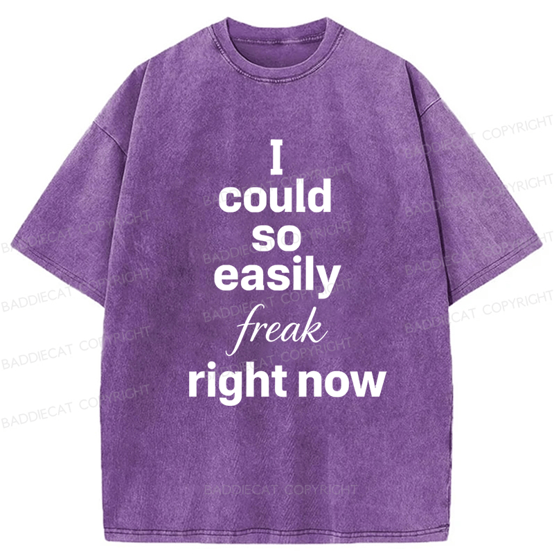 Baddiecat I Could So Easily Freak Right Now Washed T-shirt