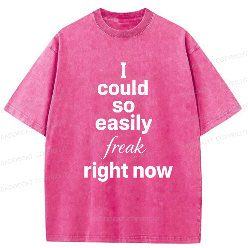 Baddiecat I Could So Easily Freak Right Now Washed T-shirt