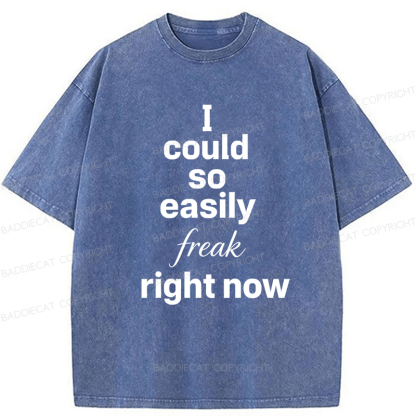 Baddiecat I Could So Easily Freak Right Now Washed T-shirt